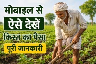 PM Kisan Beneficiary Status चेक करते किसान